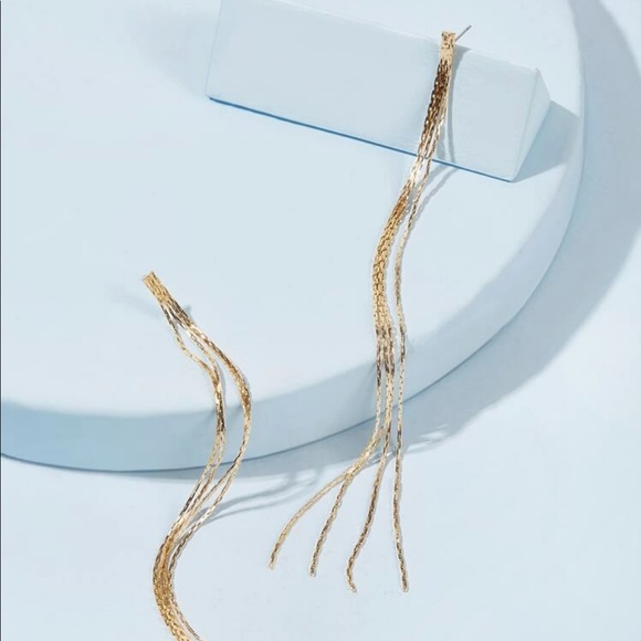 Tassel Drop Earrings - Picture 2 of 4